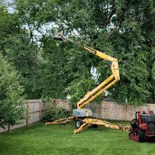Best Firewood Processing and Delivery  in Bethpage, NY