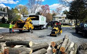 Best Lawn Grading and Leveling  in Bethpage, NY