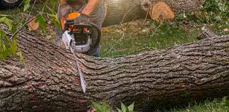 Best Artificial Turf Installation  in Bethpage, NY