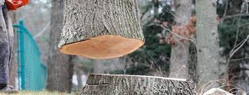 Best Commercial Tree Services  in Bethpage, NY